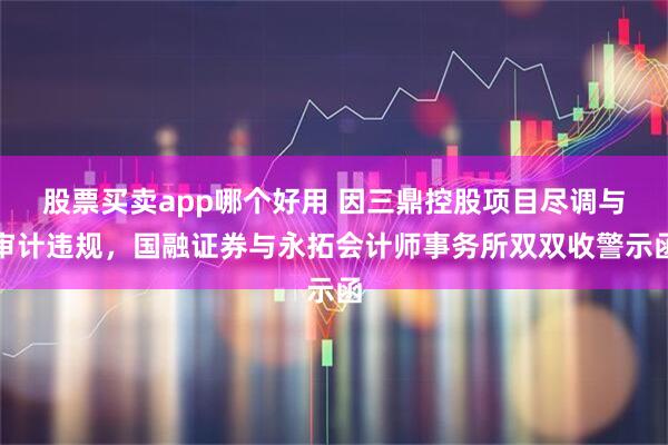 股票买卖app哪个好用 因三鼎控股项目尽调与审计违规，国融证券与永拓会计师事务所双双收警示函