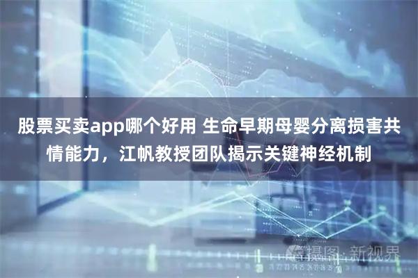 股票买卖app哪个好用 生命早期母婴分离损害共情能力，江帆教授团队揭示关键神经机制